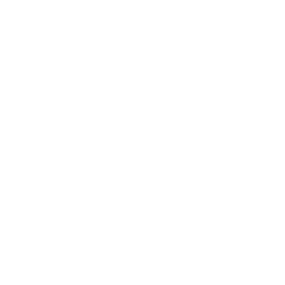 Sowfund logo light